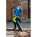 Электрическая воздуходувка Ryobi RBV3000CESV